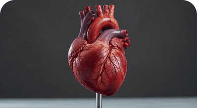 Hemodynamic Performance