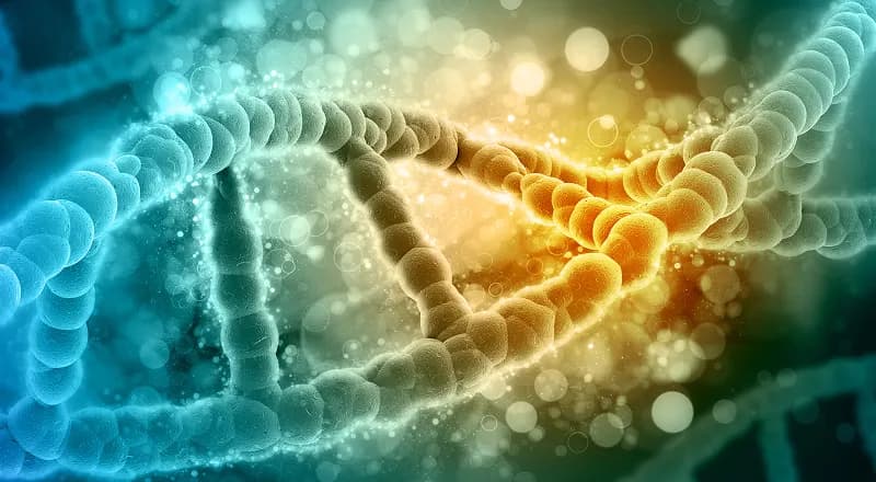 Genetic predisposition 