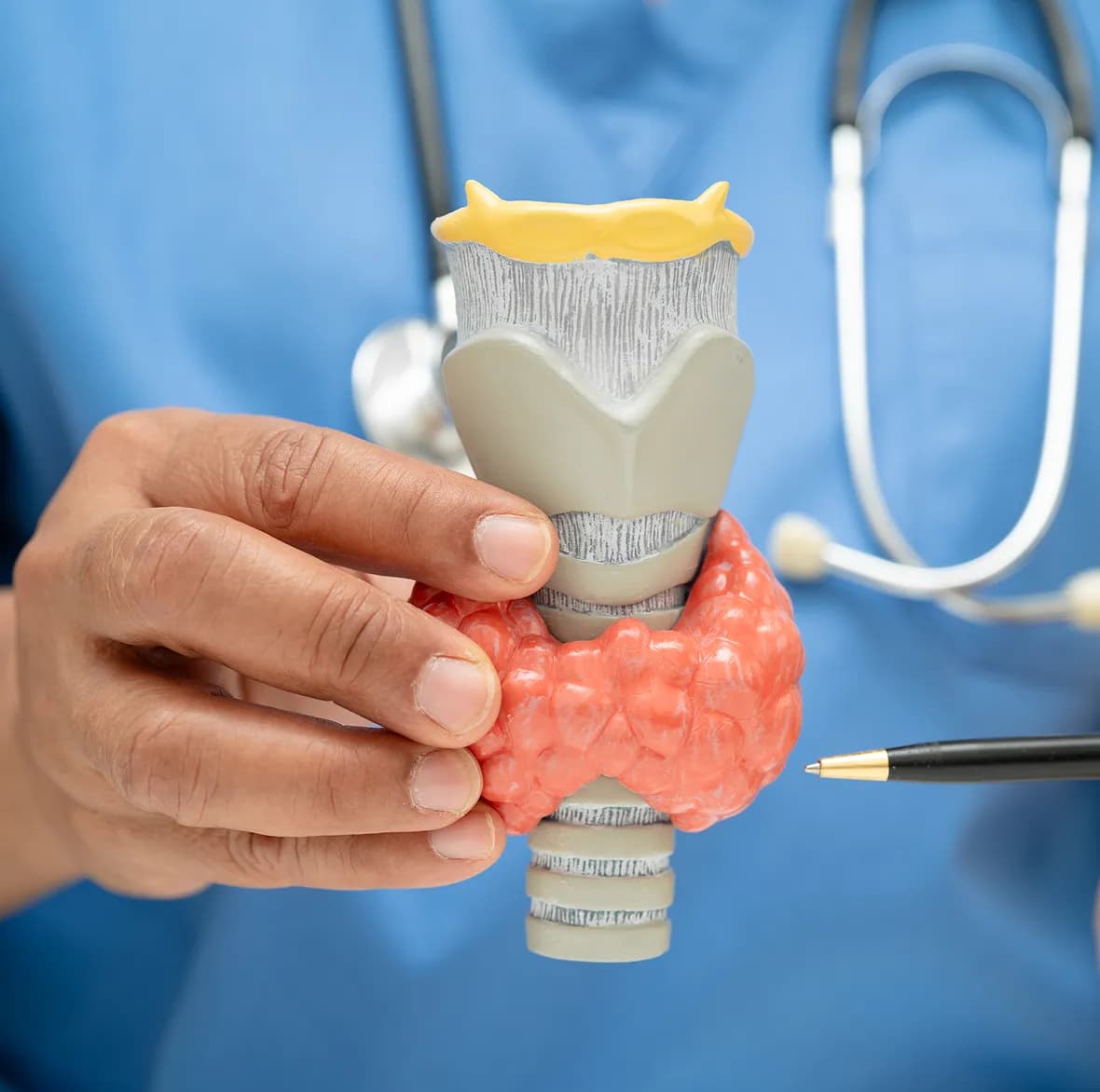 What Is Hypothyroidism?