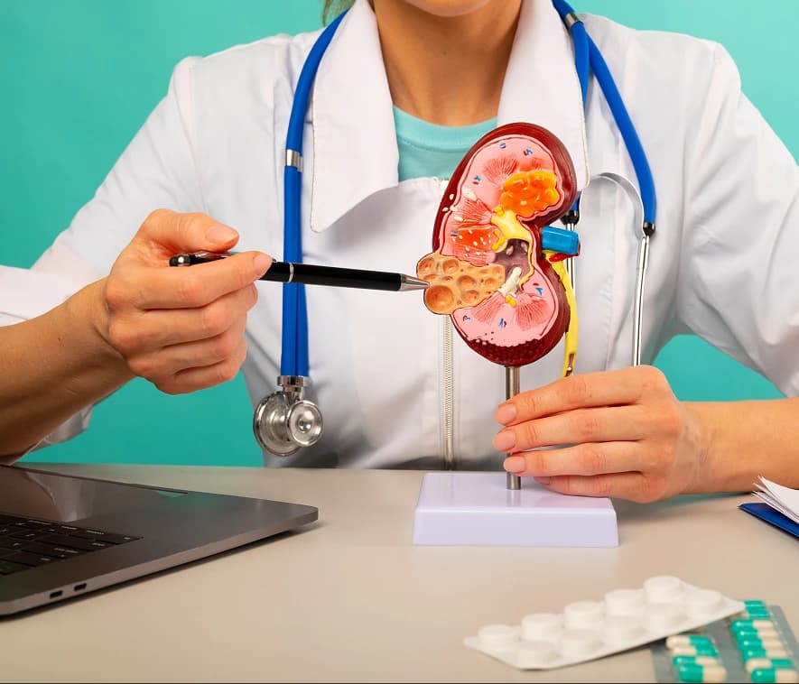 What is Diabetic Kidney Disease or Diabetic Nephropathy?