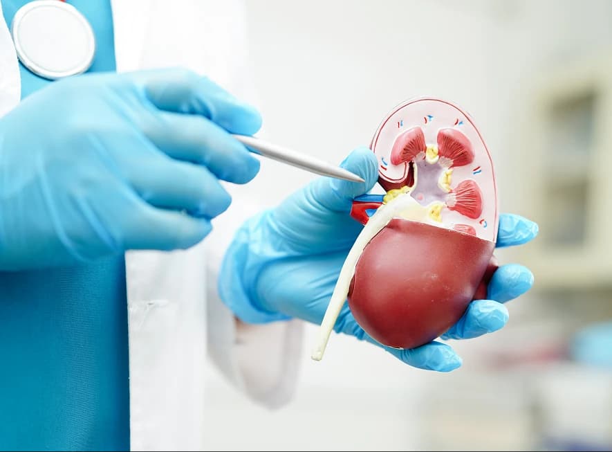 How can Diabetic Kidney Disease be diagnosed?