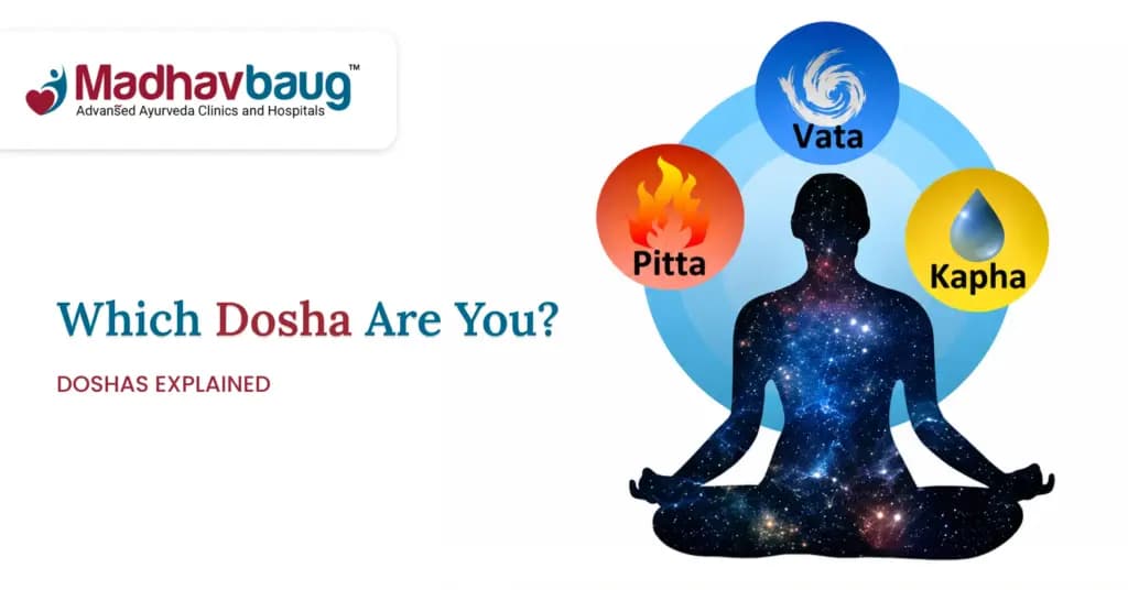 Vata, Pitta and Kapha and How They Work in Your Body