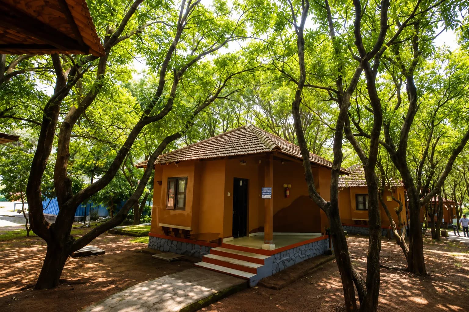 Ayurveda-Based Lifestyle Disease Reversal Treatment in Jaipur