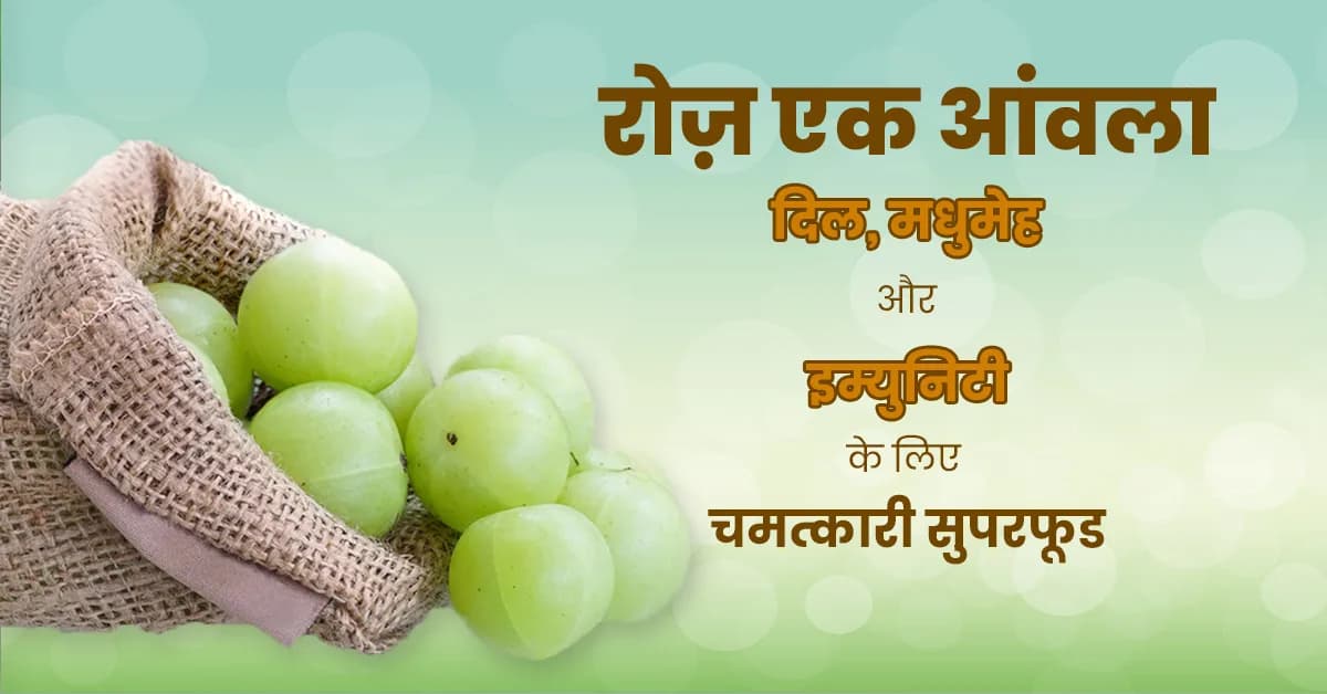 रोज़ एक आंवला: दिल, शुगर, इम्युनिटी और संपूर्ण स्वास्थ्य के लिए वैज्ञानिक रूप से लाभदायक सुपरफूड