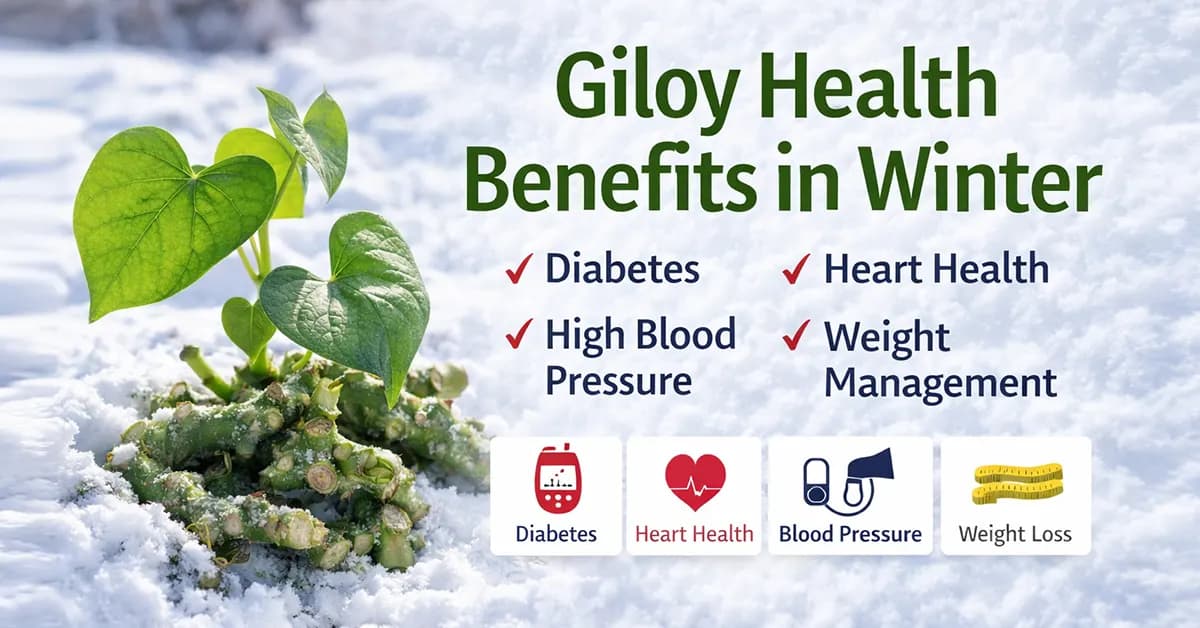 Giloy Health Benefits in Winter: Why This Ayurvedic Herb Gains Importance During Cold Months