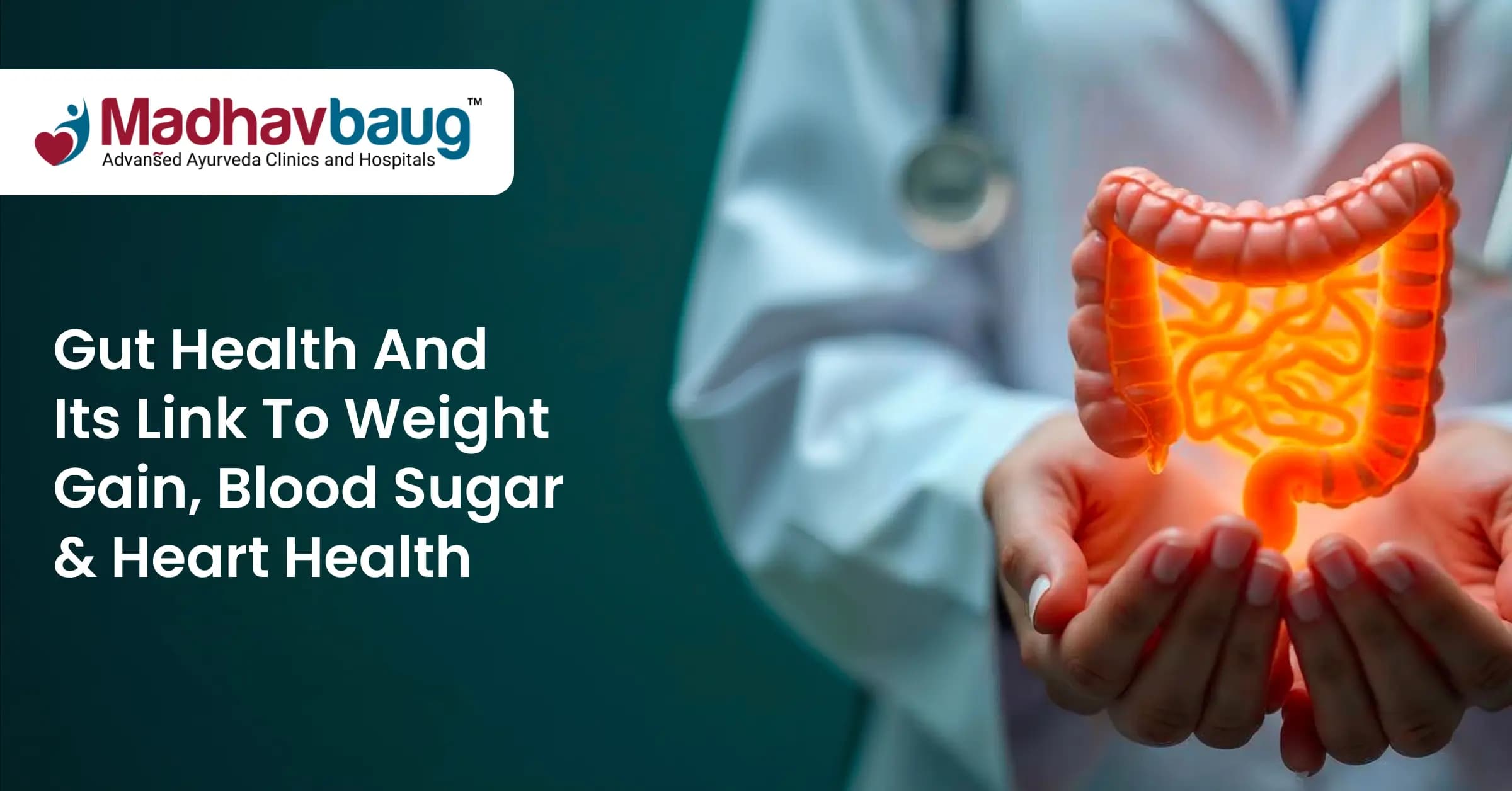 Gut Health and Its Link to Weight Gain, Blood Sugar and Heart Health