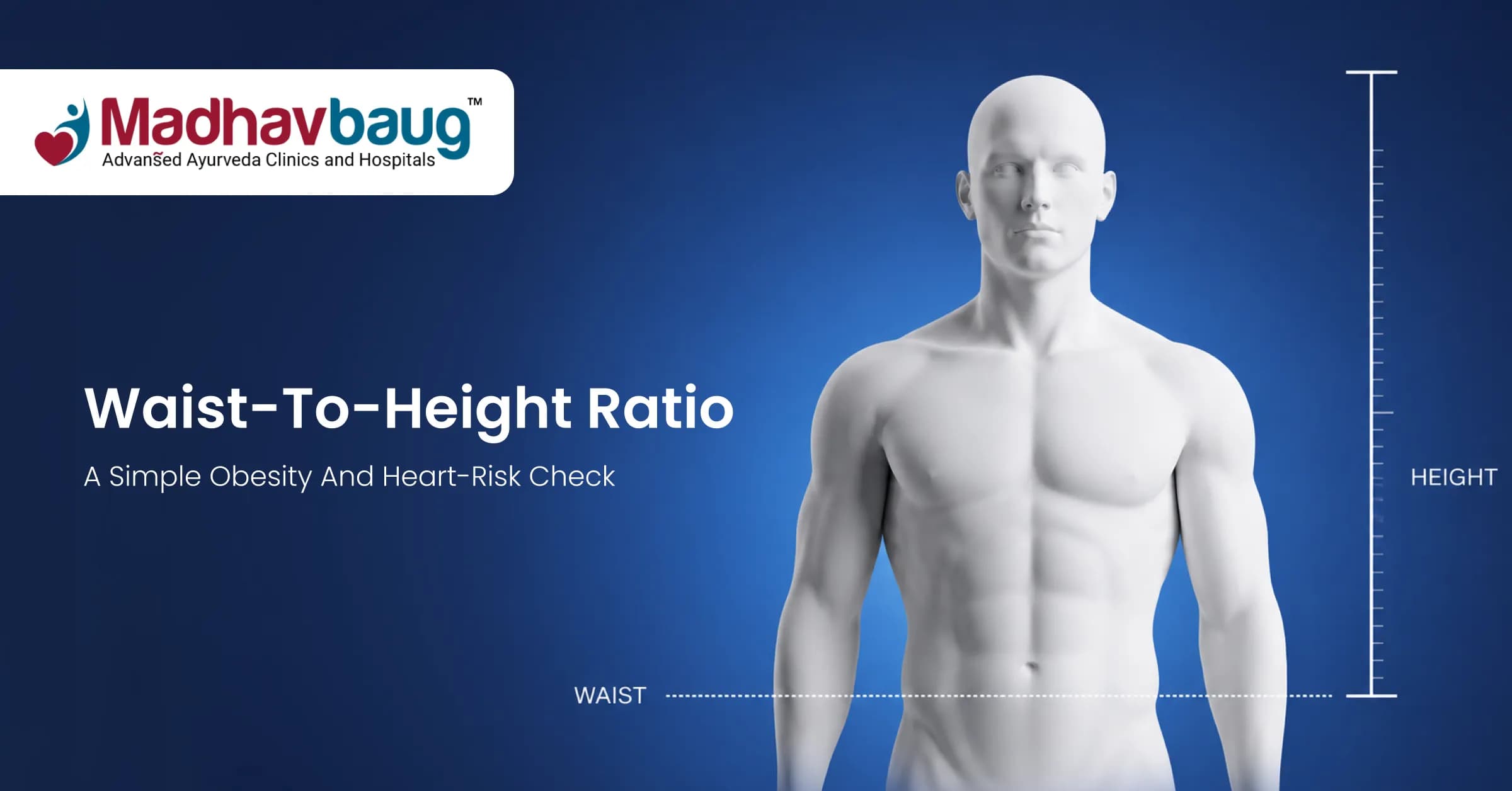 Waist-to-Height Ratio: A Simple Obesity and Heart-Risk Check