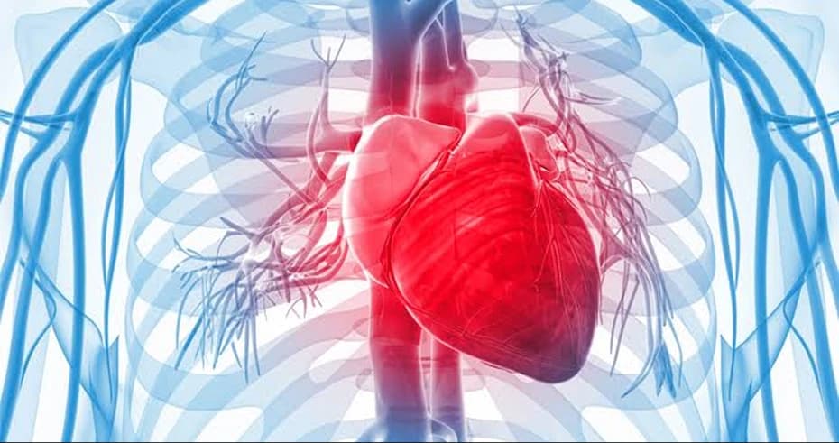 Chronic Heart Failure