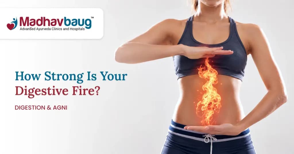 Jatharagni and the 4 Types of Agni – How Ayurveda Assesses Your Digestive Fire