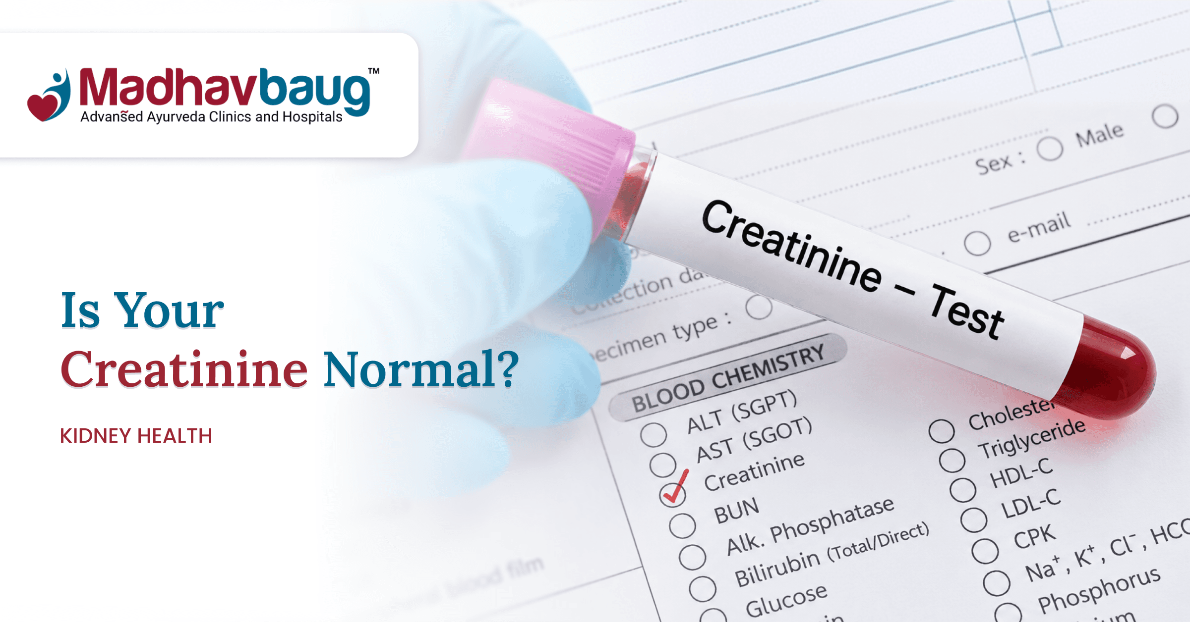 Creatinine Levels Chart by Age and Kidney Health