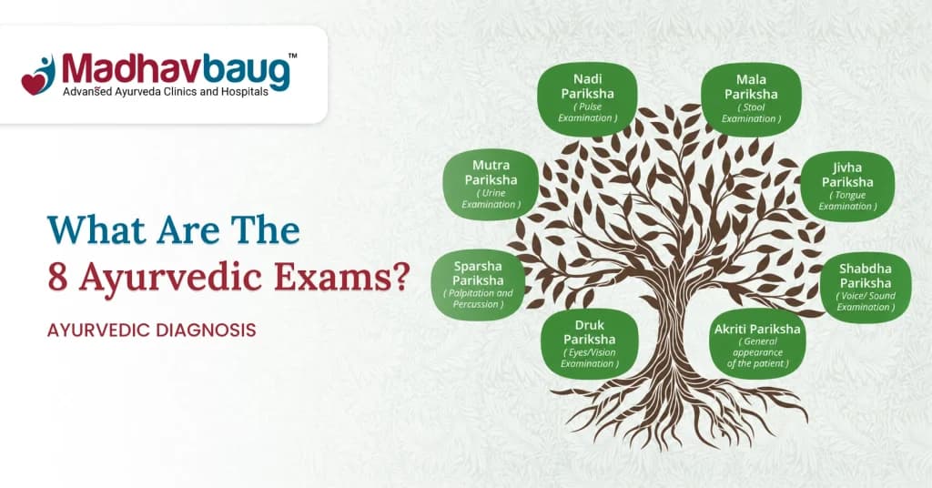 Ashtavidha Pariksha: The 8 Parts of Ayurvedic Diagnosis