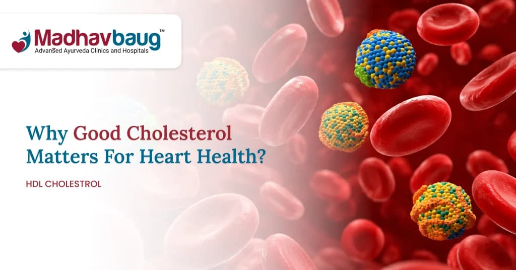 What Is HDL Cholesterol? Why Good Cholesterol Matters for Heart Health