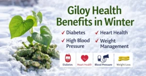 giloy health benefits in winter