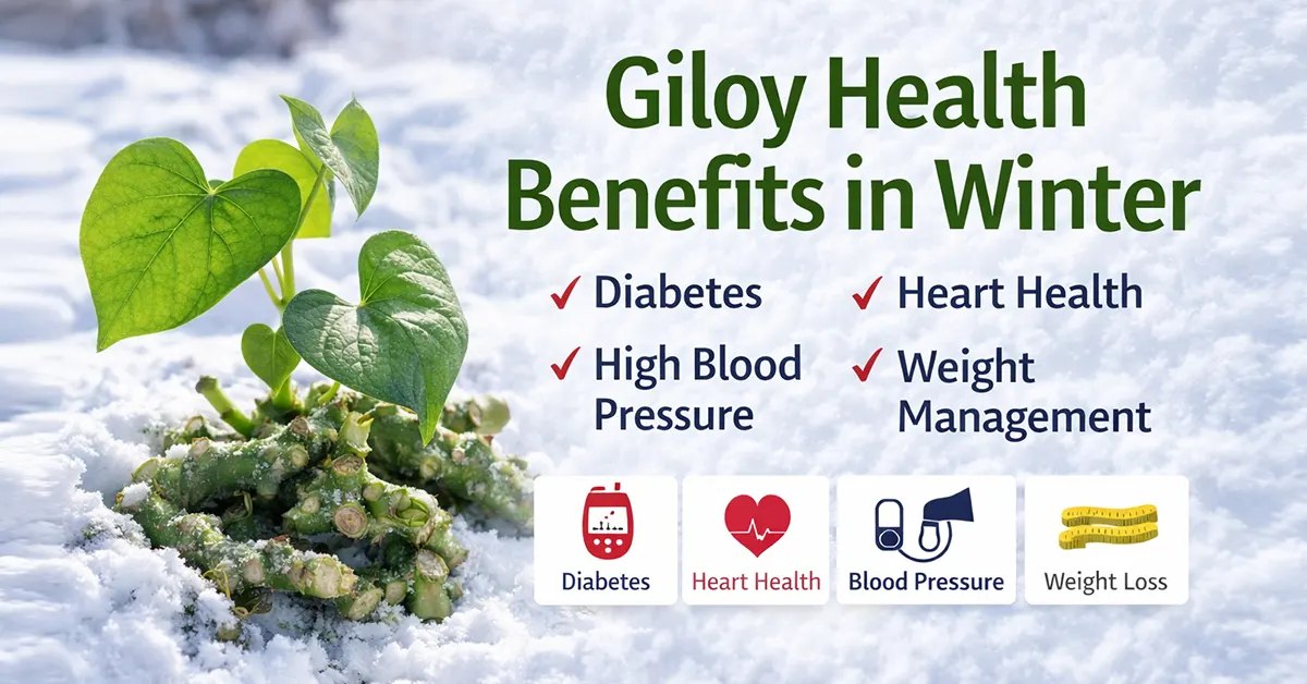 giloy health benefits in winter